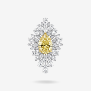 The Laurel of Light