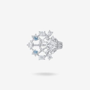 The Snow-Kissed Bloom